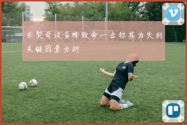 东契奇谈黄蜂致命一击称其为失利关键因素分析